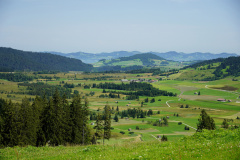 DSC08957