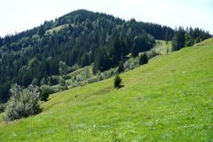 DSC08963