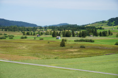 DSC08965