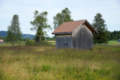 DSC08970