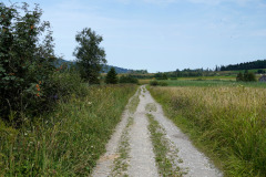 DSC08974