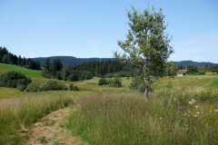 DSC08983