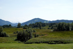 DSC08993