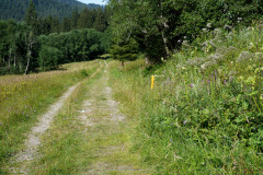 DSC08995