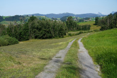 DSC08998