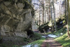 DSCN1506