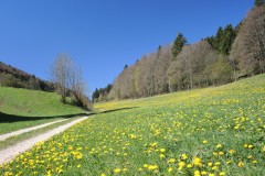 DSCN1507