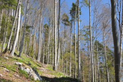 DSCN1509