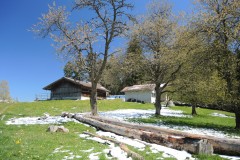 DSCN1510