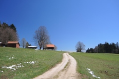 DSCN1511