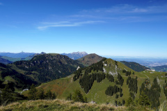 DSC05830