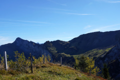 DSC05853