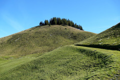 DSC05855
