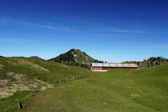 DSC05856