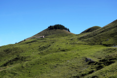 DSC05858
