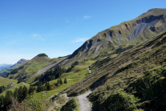 DSC05874
