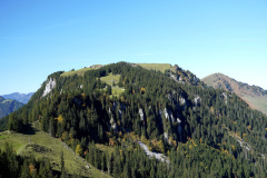DSC05879