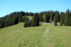 DSC05896