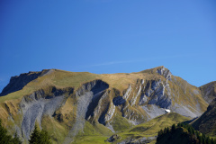 DSC05901