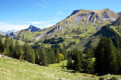 DSC05903
