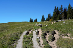 DSC05904