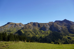 DSC05906