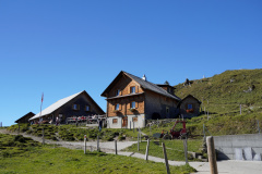 DSC05911