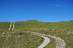 DSC05918