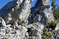 DSC05961