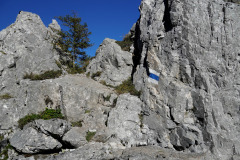 DSC05966