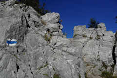 DSC05969