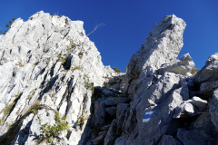 DSC05973