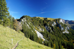 DSC05983