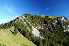 DSC05985