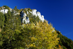 DSC05987