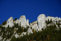 DSC05990