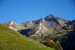 DSC05991
