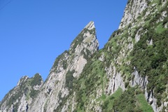 DSCN0844