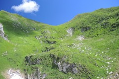 DSCN0852
