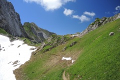 DSCN0854