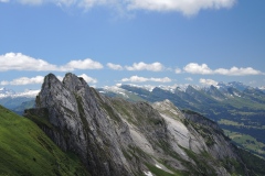 DSCN0864