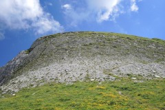 DSCN0865