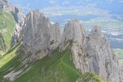 DSCN0876