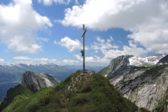 DSCN0877