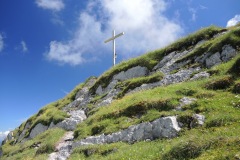 DSCN0882