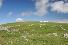 DSCN0894