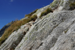 DSC05708