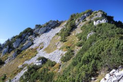 DSCN1173