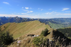DSCN1177