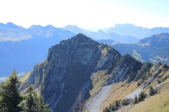 DSCN1178